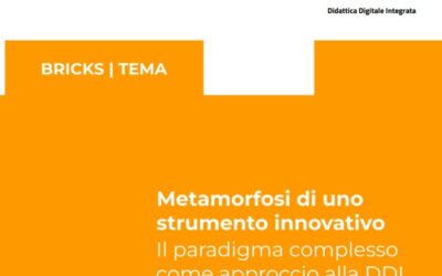 Metamorfosi di uno strumento innovativo. Il paradigma complesso come approccio alla DDI